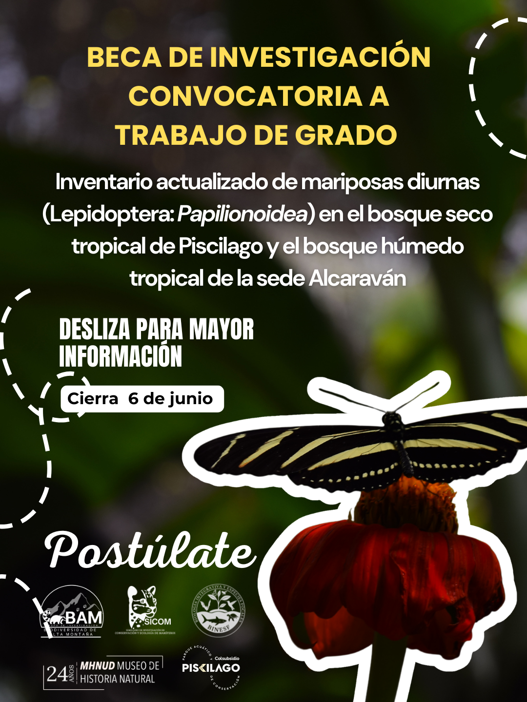 beca