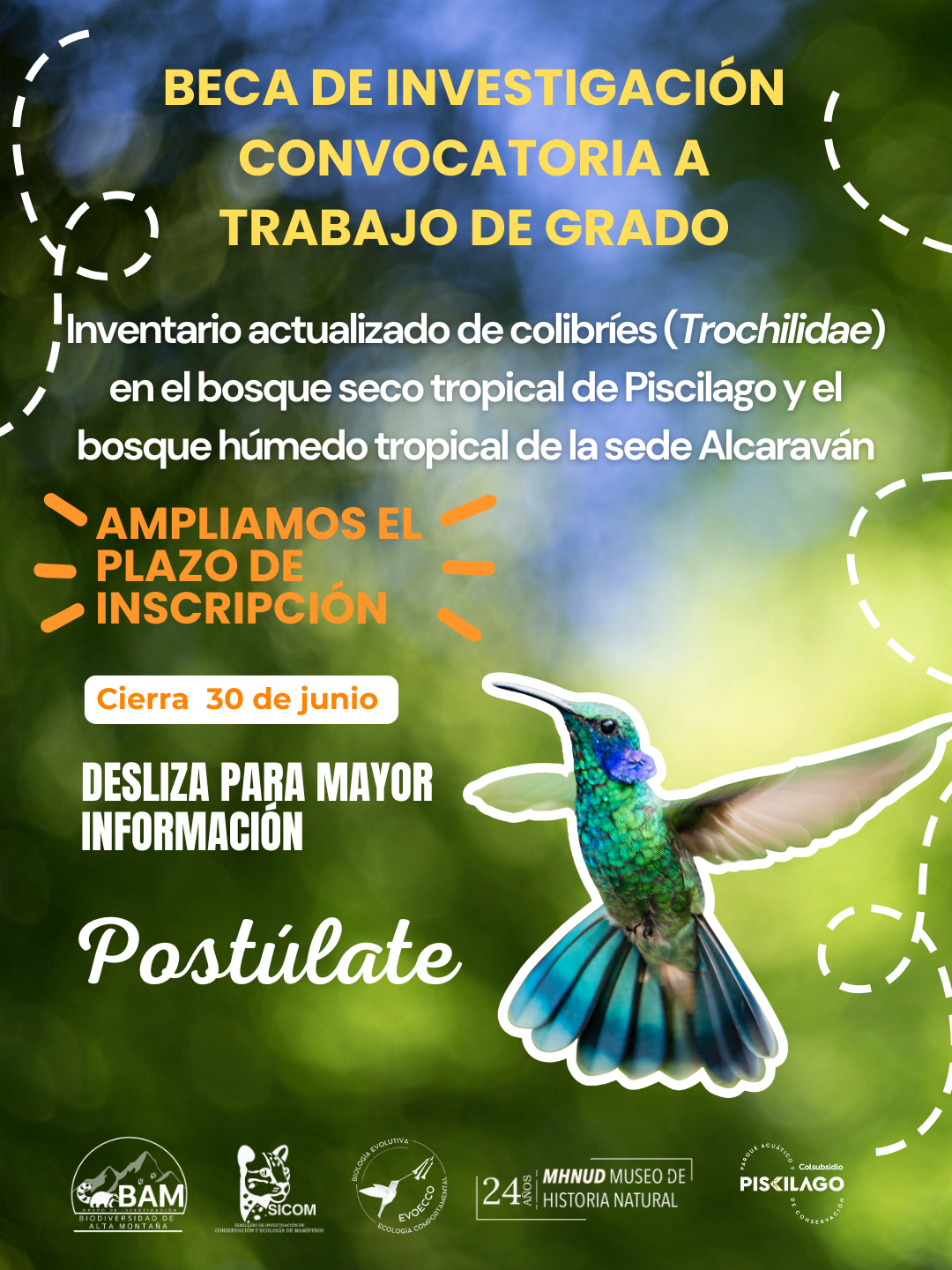 pasantia
