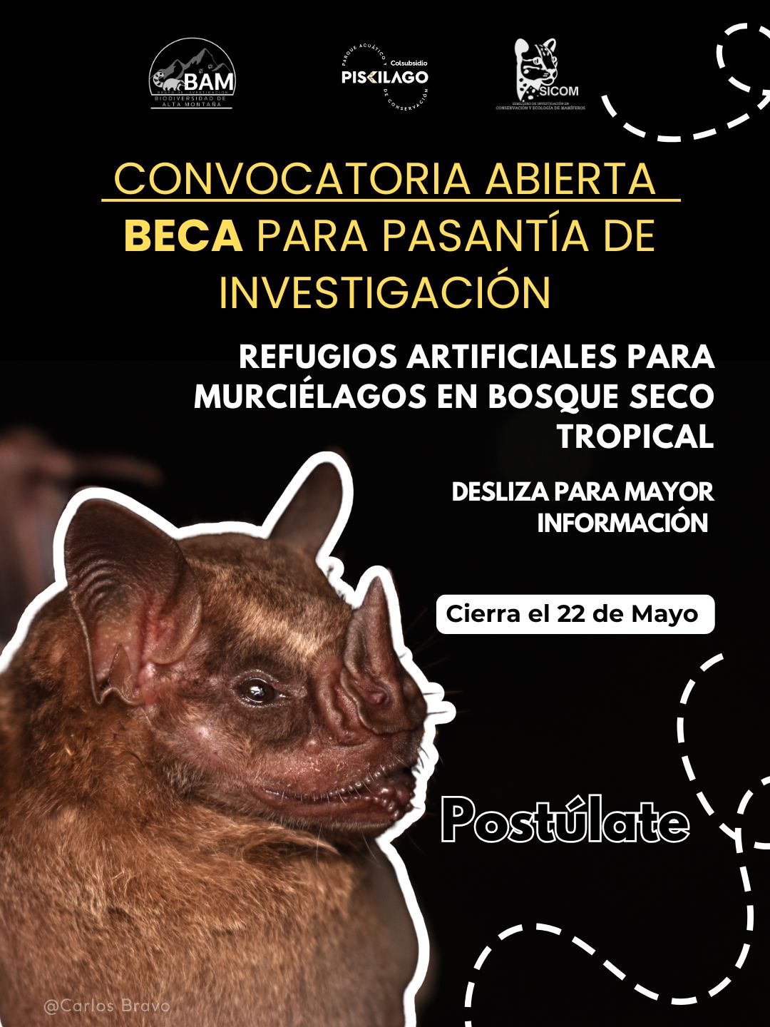 Refugios artificiales para murciélagos en bosque seco tropical
