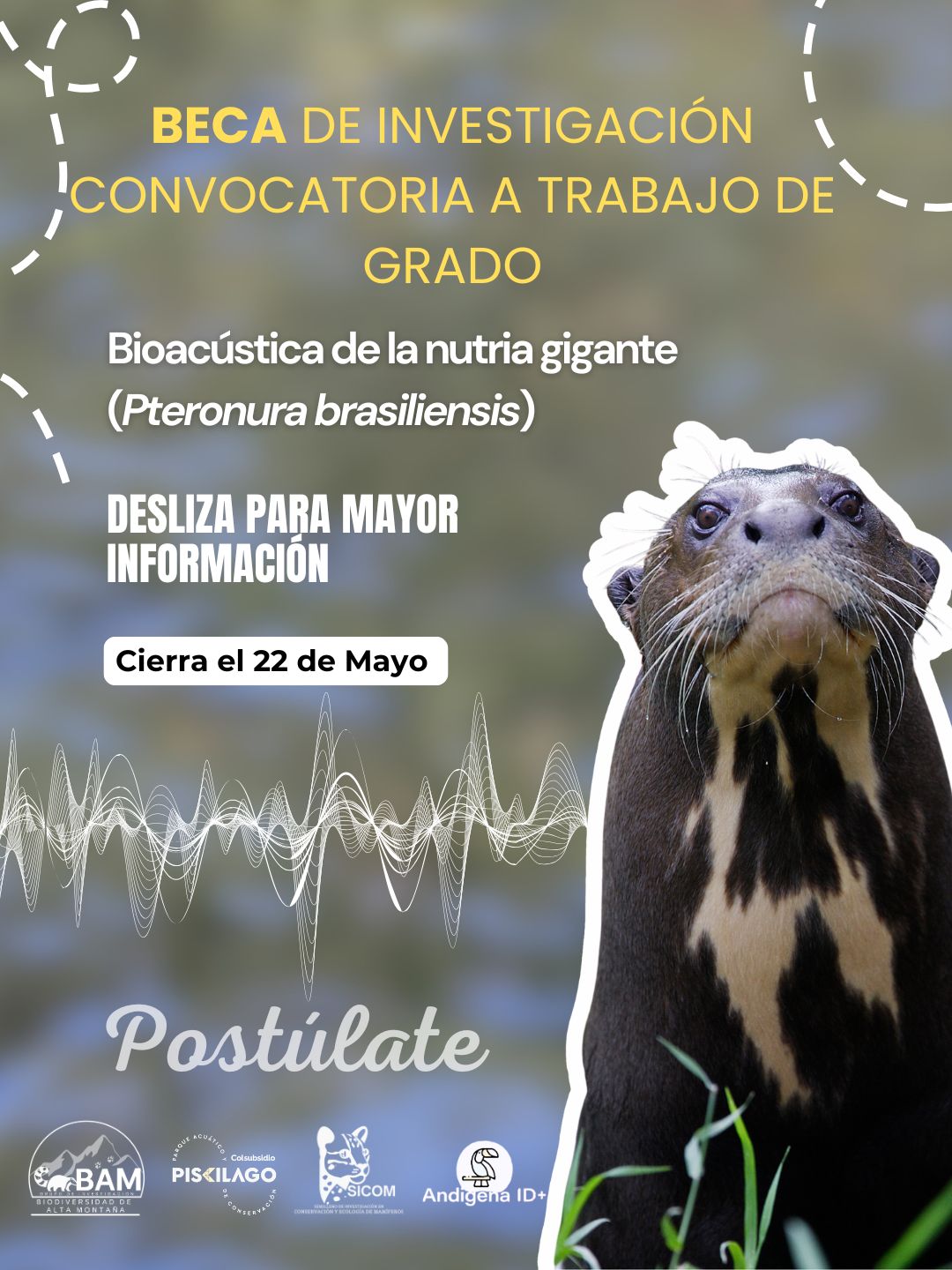 Bioacústica de la nutria gigante (Pteronura brasiliensis)