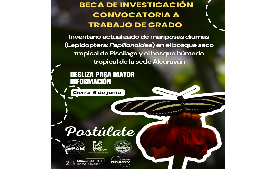 Beca