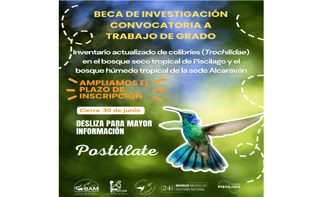 Beca