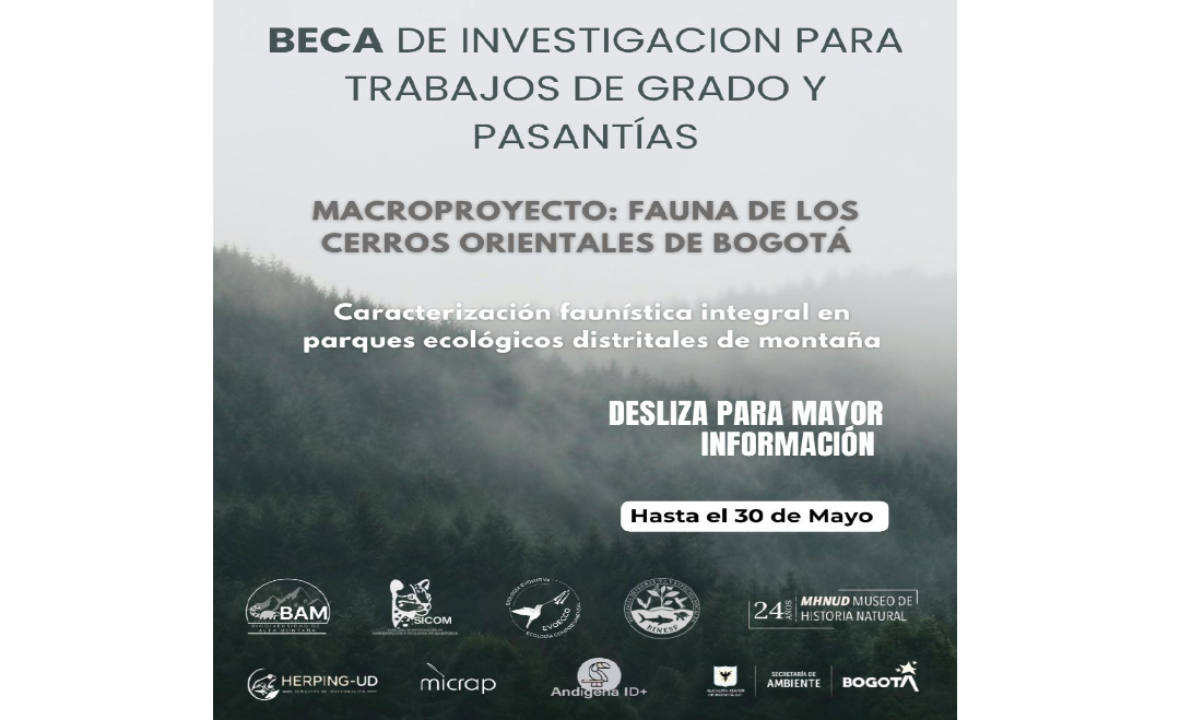 Convocatoria Pasantías