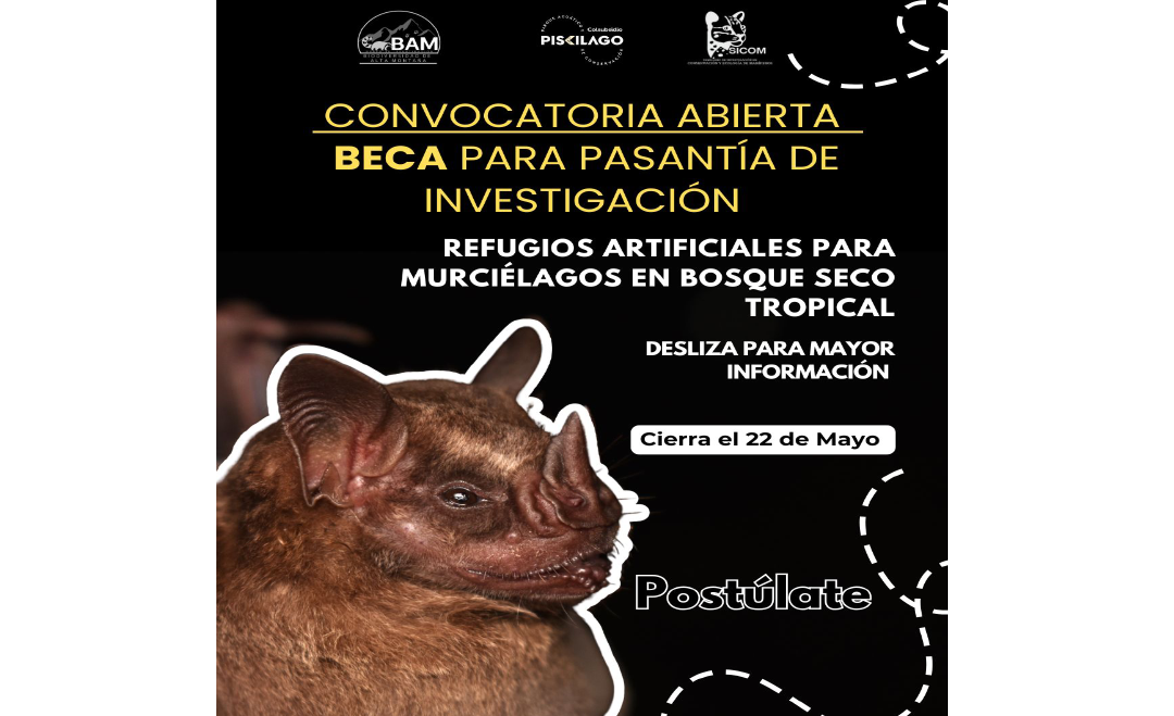 Convocatoria Pasantías
