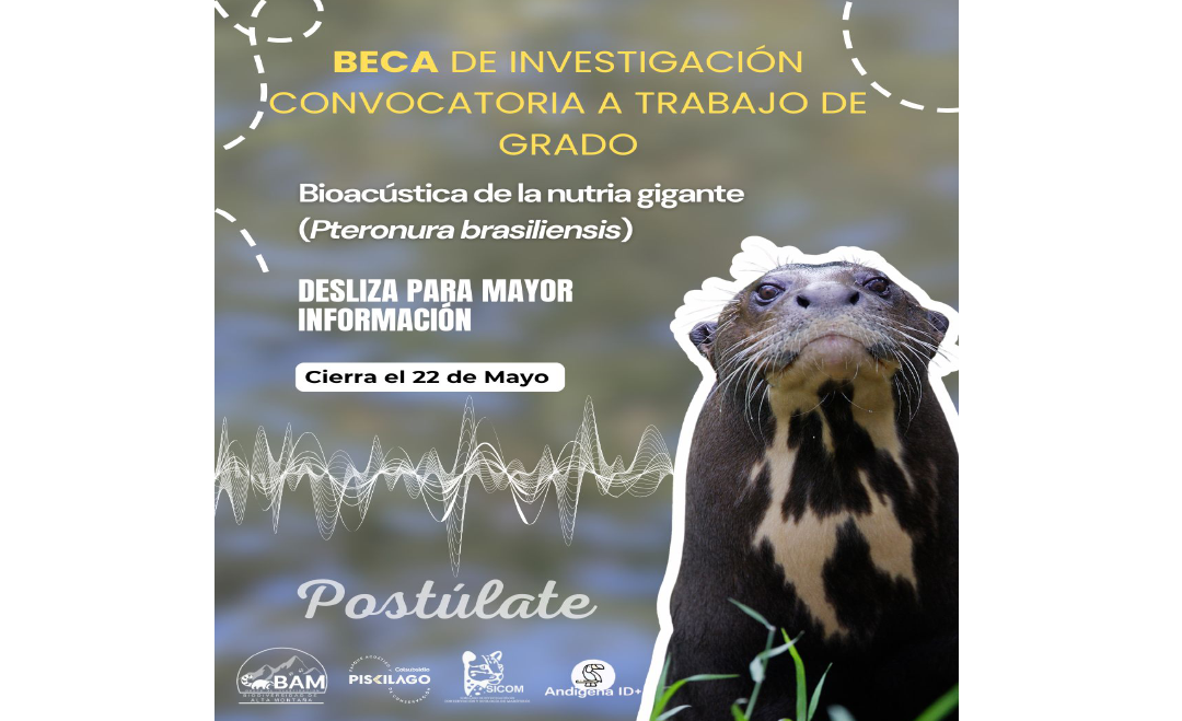 Convocatoria Pasantías