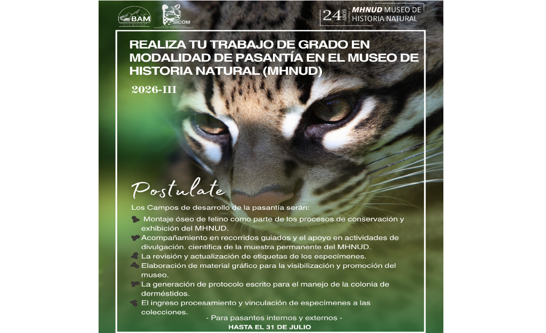 Miércoles de Museo